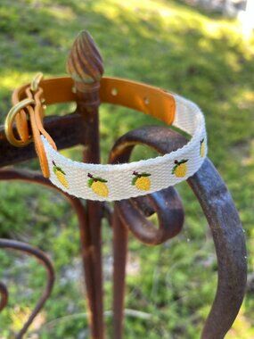 NWOT - Anthropologie Dog Collar - Icon - Lemons & Leather - Small